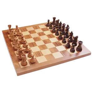 Chess beginner level